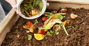 Compostagem Caseira para Apartamentos