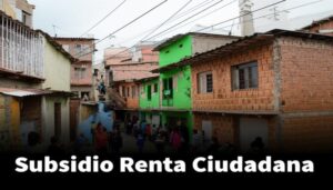 Subsidio Renta Ciudadana